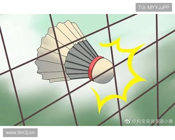 边线规则详解：球出界后如何判定与发球位置？